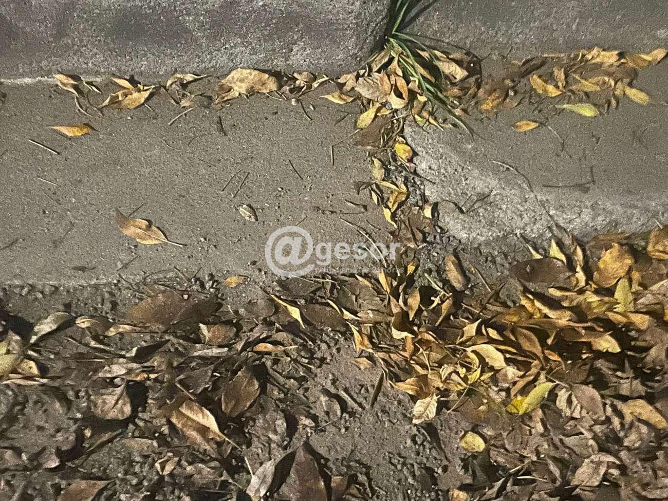 Image4